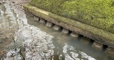 Probe launched into raw sewage spillage at two rural locations