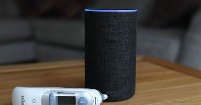 Amazon Alexa down: How to reset your Alexa