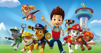 Paw Patrol and Peppa Pig give retailer sales boost as people shopped early for Christmas