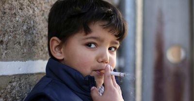 Girls' excess body fat linked to their grandfathers smoking when they were boys