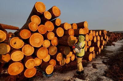 EU takes Russia to WTO over export restrictions on wood