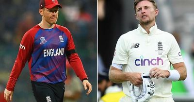 England set for Australia reunion after Ashes humbling as T20 World Cup draw made