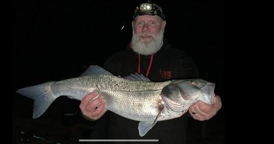 Opening Days and Fish of the Week Jan 21, 2022