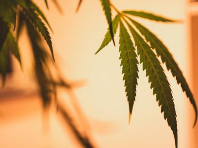 Scotts Miracle-Gro Confirms Expiration And Results Of Exchange Offer For 4.375% Senior Notes