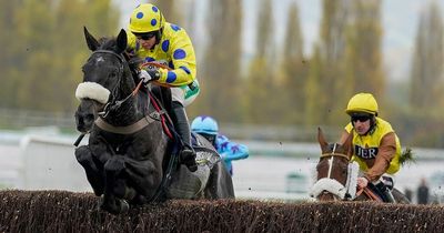 Horse racing weekend betting tips as Paul Nicholls runs through his Saturday runners