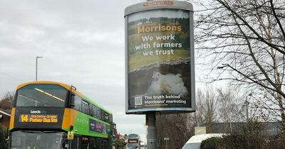 Morrisons speak out after 'chicken cruelty' posters appear in Leeds