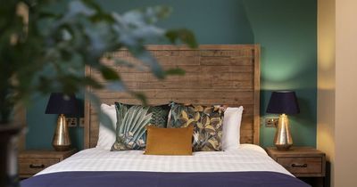 Forest Holidays unveils latest holiday park development in Brecon Beacons woodland