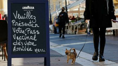 French council allows vaccine pass, but not for political rallies