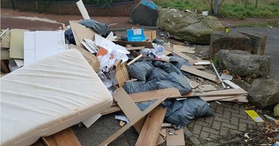 Gateshead business partners fined £100 each after operating illegal waste site