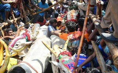 13-year-old school girl injured in bull race dies in Vellore hospital