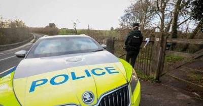 PSNI confirm weapons found during 'comprehensive' search operation in East Belfast