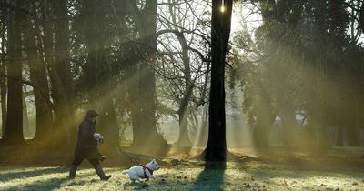 Plans welcomed to light up Cardiff’s parks to improve safety but problems highlighted
