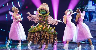 Masked Singer fans convinced Mushroom is Irish actress after noticing strong 'twang'