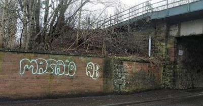 Vandals target Lanarkshire town with graffiti sparking clean-up mission by community group