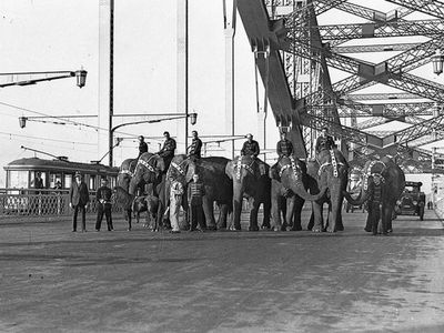 Stories urged as Harbour Bridge turns 90