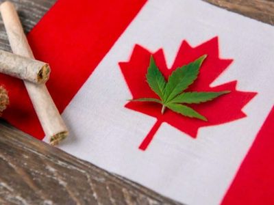 Canadian Retail Cannabis Sales Increased 36% In November To $354M