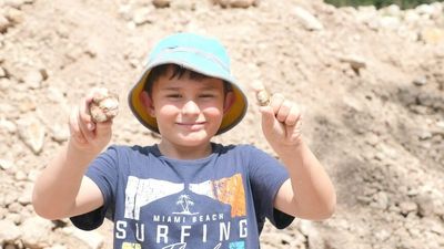 Thunder eggs may not be precious stones, but they are worth millions to generations of kids