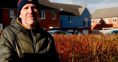 Life on the Glan Llyn estate: The community emerging from the remains of Newport’s proud steel heritage