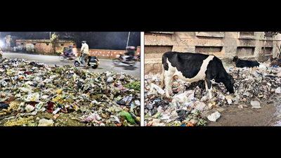 Jaipur: Sanitation staff threaten stir over contract jobs, gratuity