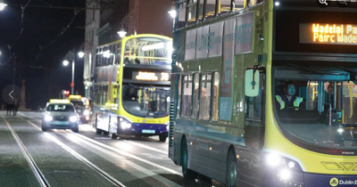 Dublin Bus should bring back Nitelink without delay to help people get home safely, says Dublin City Councillor