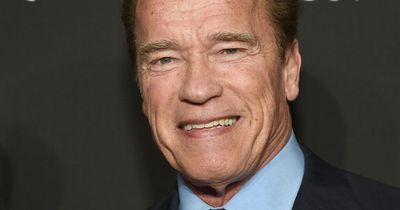 Arnold Schwarzenegger ‘involved in multi-vehicle crash' as woman taken to hospital