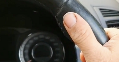 Dublin driving instructor's surprising safety tip you never knew