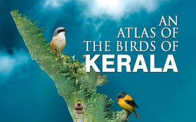 Kerala gets its first ever scientific bird atlas
