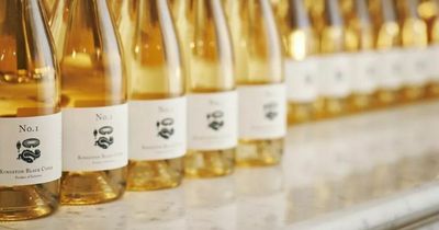 Britain's poshest cider tour an hour away from Bristol where celebrities hang out