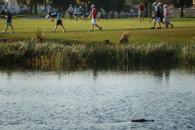 Splash! PGA Tour players hit into the water the most on these five golf courses