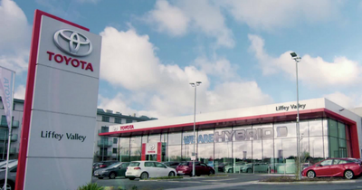 Dublin jobs: One of west Dublin's biggest car dealers looking to take on new apprentices