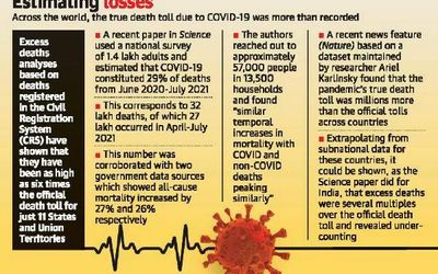 More evidence of excess deaths in India during pandemic