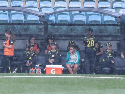 Rain delays third Ashes T20 in Adelaide