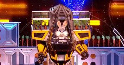 Masked Singer Robobunny's song choice leaves fans in no doubt over identity as panel left clueless