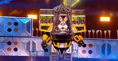 Masked Singer fans think they know Robobunny and Panda's identity after clues