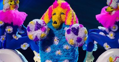 Poodle 'identified' as Keane star on The Masked Singer by fans after Christmas clue