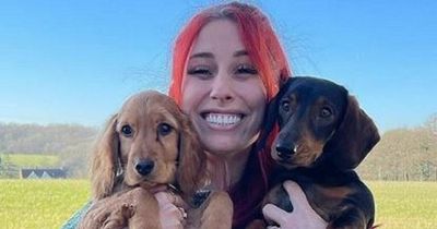 Dog charity hits back at complaints over Stacey Solomon's puppy adoption