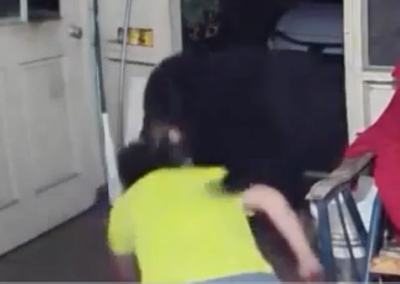 Dramatic video of moment Florida man fights off black bear on his porch to protect pet dogs