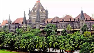 Truck driver died working, pay kin: Bombay HC to employer