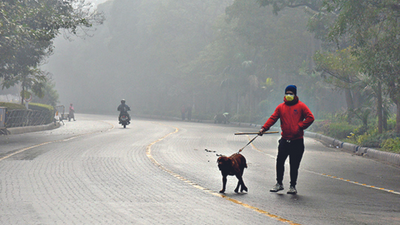 Met spies rain in Kolkata, districts today and tomorrow