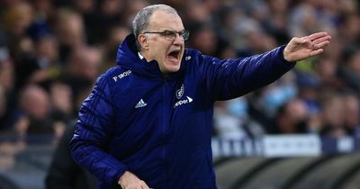 Marcelo Bielsa can't cushion repeated Leeds United blow as Brighton offer unlikely relief