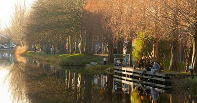 Ireland weather: Map shows it could feel colder than expected as Met Eireann forecast windy turn