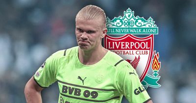 Erling Haaland extraordinary £30m transfer claim as Celtic teenager 'eyed' by Liverpool