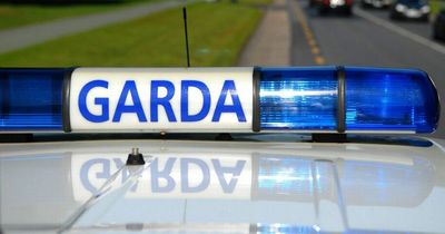 Horror night on Dublin roads as two pedestrians hit by cars in separate crashes