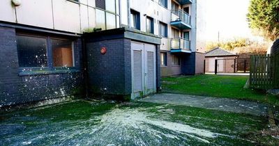 Inside horror block of flats with blood in the lifts and human faeces at the entrance