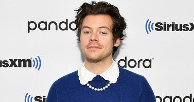Harry Styles spotted in the West Country amid reports he's buying home here