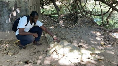 Gambia looks to Africans to revive its stricken tourism industry