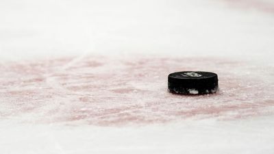 ECHL Player Suspended, Released After Being Accused of Making Racist Gesture