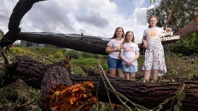 Residents in storm-hit suburbs feel 'neglected' by ACT government