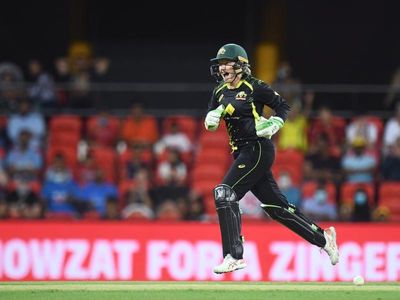 Healy unfazed by rare Ashes workload