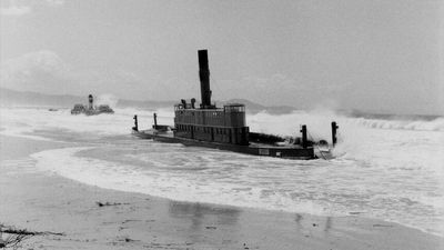 Historical shipwrecks make rare appearance on NSW Mid North Coast beach